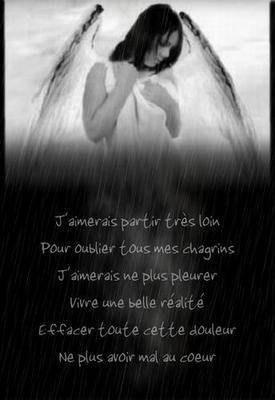 un peu plus chaques jours........